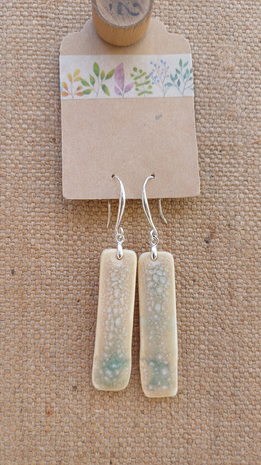 Handmade Ceramic earrings